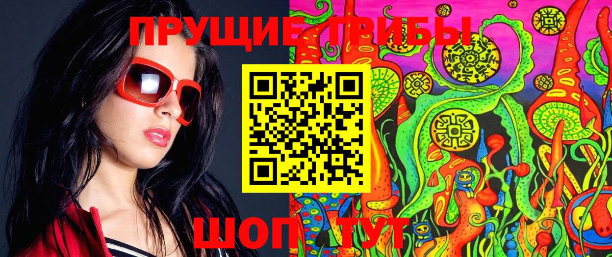 Псилоцибиновые грибы мицелий  Вход с VPN  Медногорск  Галлюциногенные грибы мицелий 